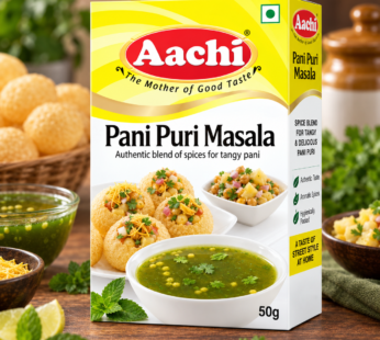 Aachi Pani Puri Masala 100g