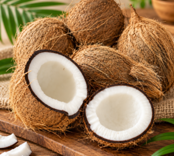 Fresh Coconut – 1 Piece